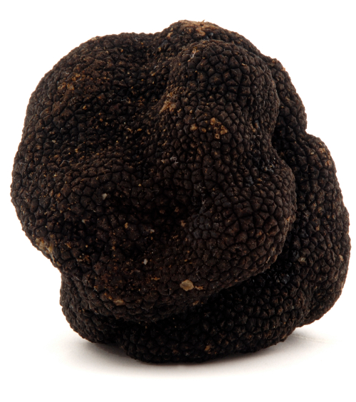 Truffe noire