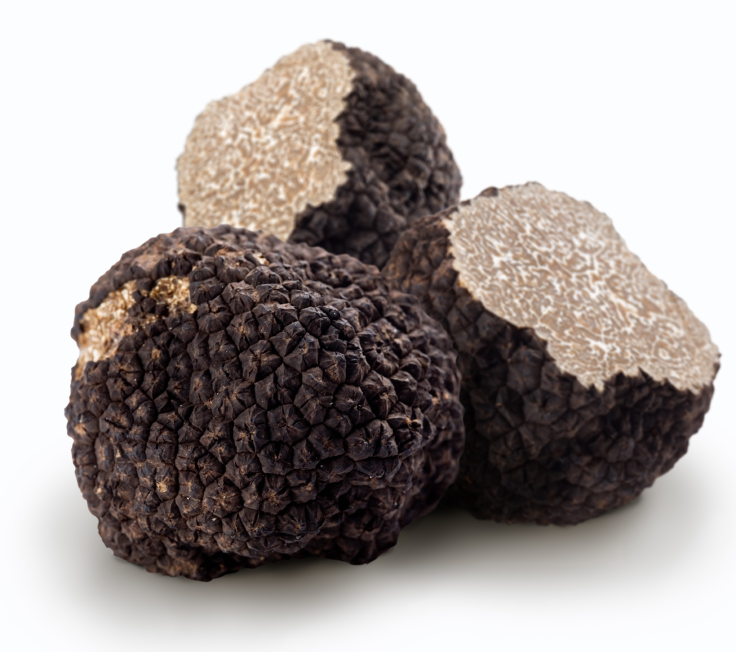 Tout savoir sur la Truffe - Achat / Conseils / Recettes