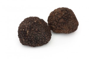 Truffes noires fraîches