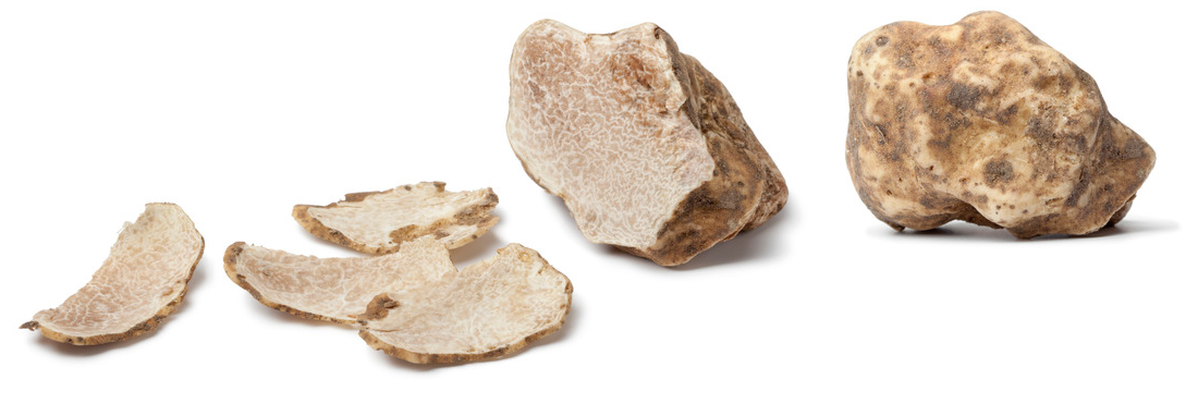 truffe blanche