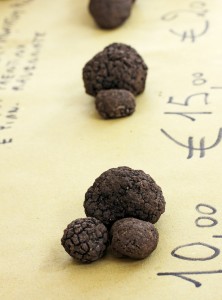 Jus de truffes noires Tuber melanosporum - Truffes Richerenches